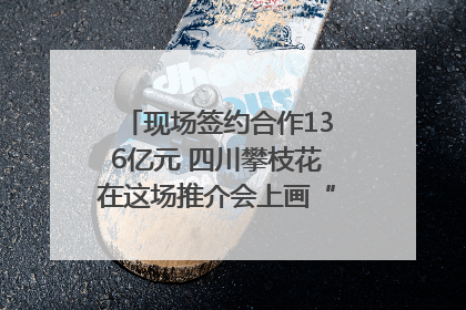 现场签约合作136亿元 四川攀枝花在这场推介会上画“图谱”列“清单”